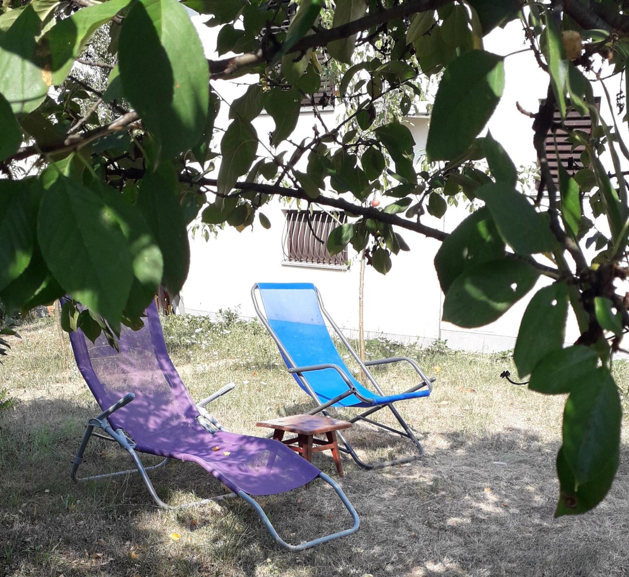 Kuca Za Odmor Zicanka Kraljevo Exterior foto