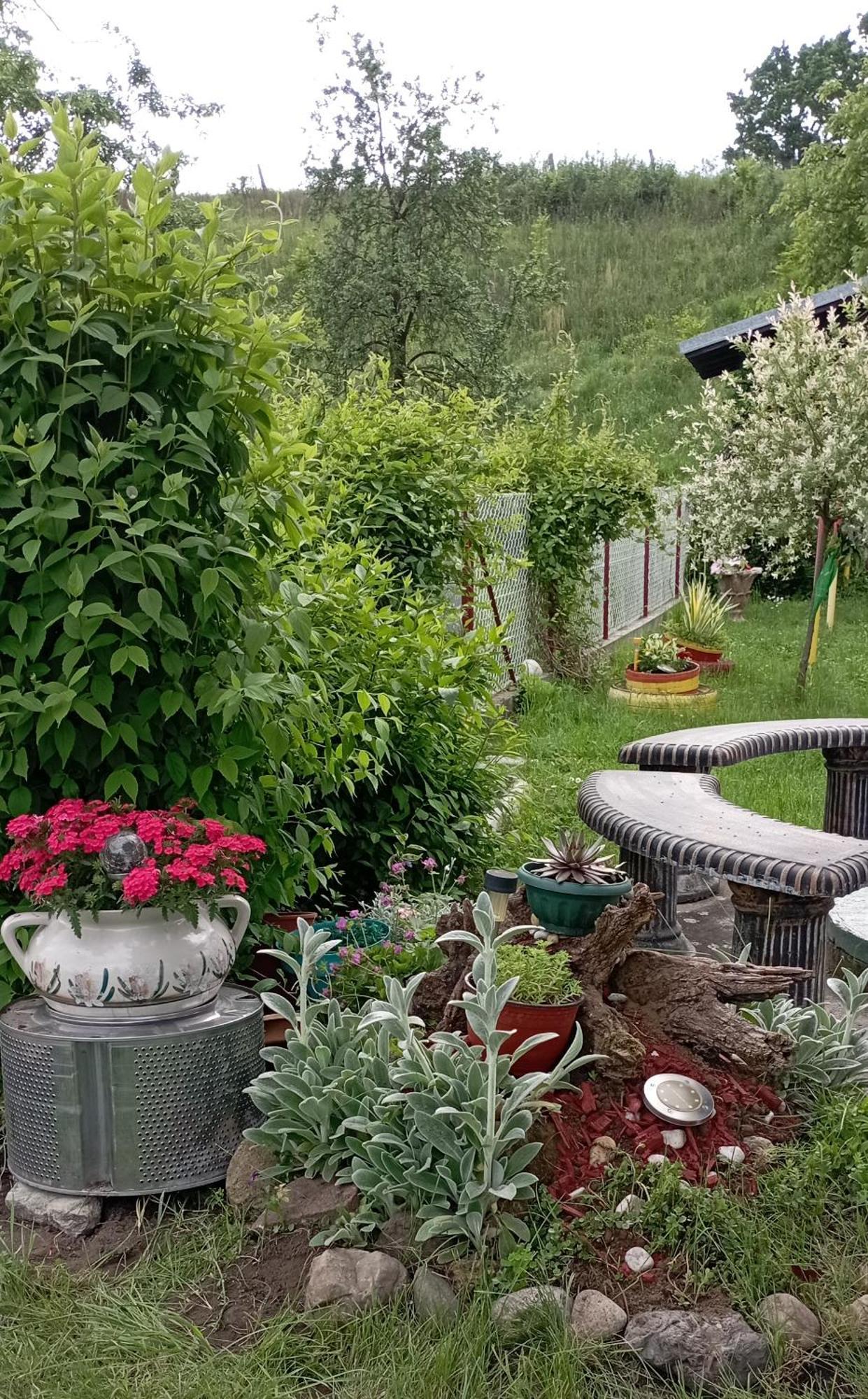 Kuca Za Odmor Zicanka Kraljevo Exterior foto